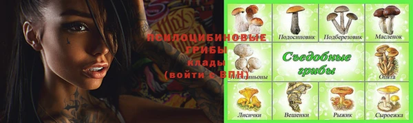 ALPHA-PVP Медногорск