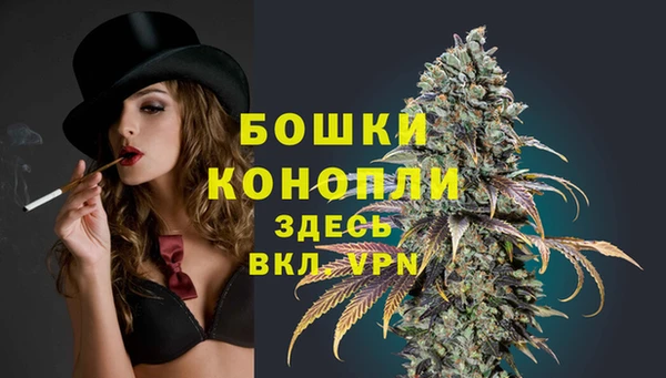 дживик Мегион